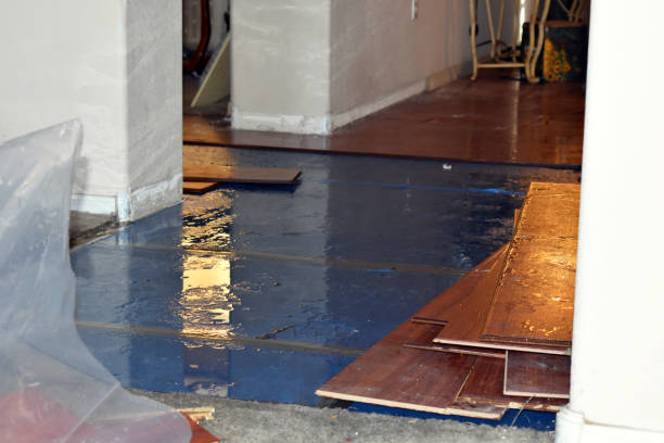Professional Sewage Cleanup technician working in Monticello, IL
